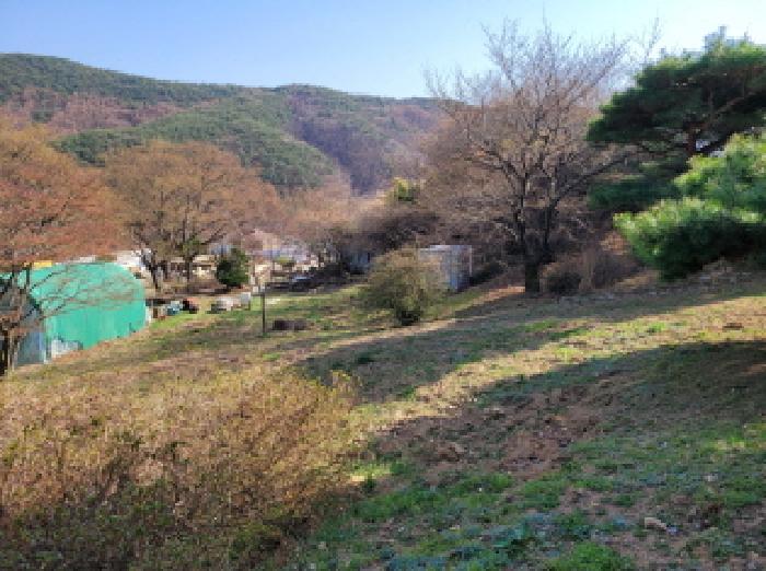 물건 대표 사진
