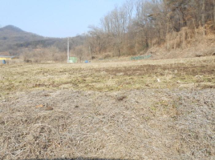 물건 대표 사진
