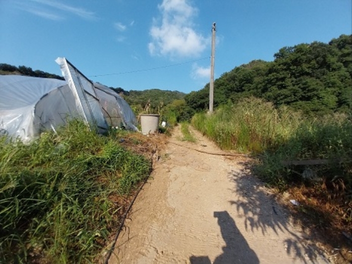 물건 대표 사진