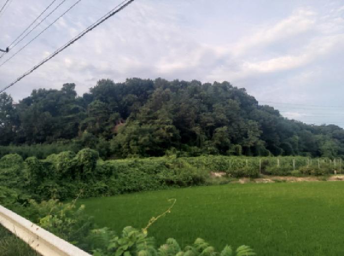 물건 대표 사진