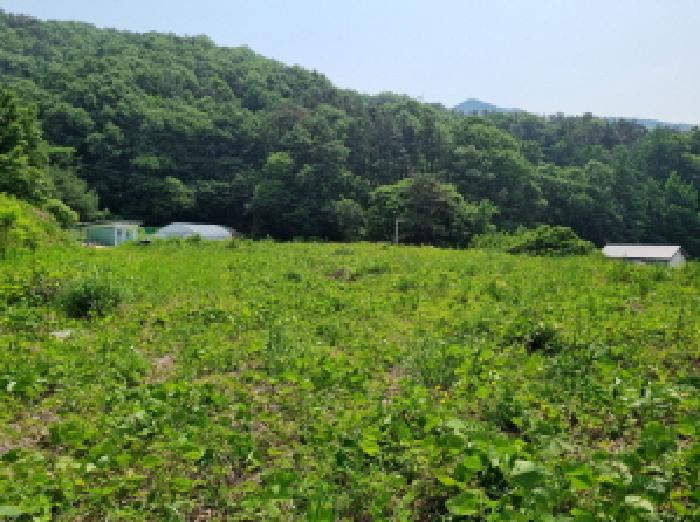 물건 대표 사진