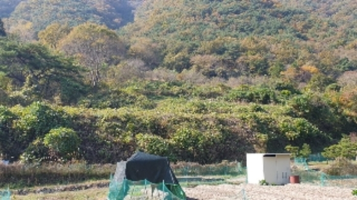 물건 대표 사진