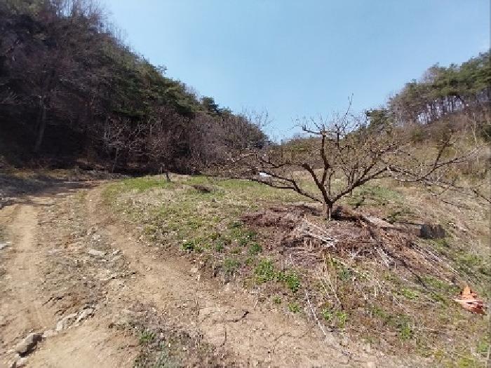 물건 대표 사진