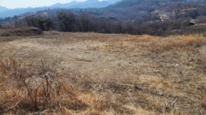 물건 대표 사진