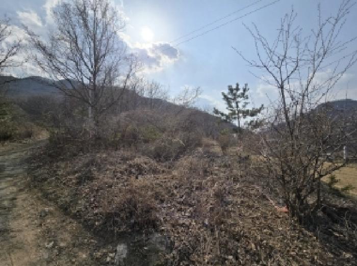 물건 대표 사진