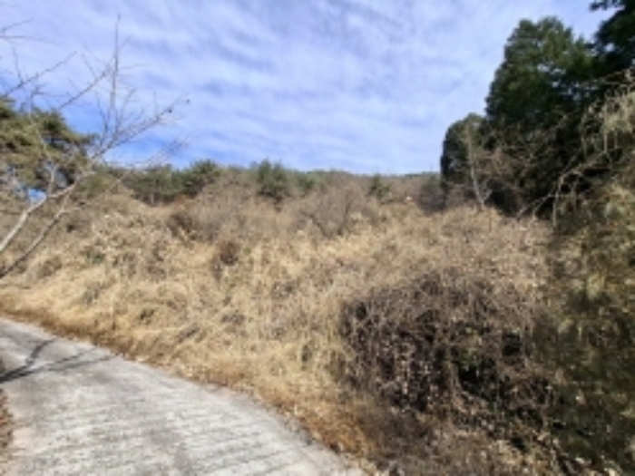 물건 대표 사진