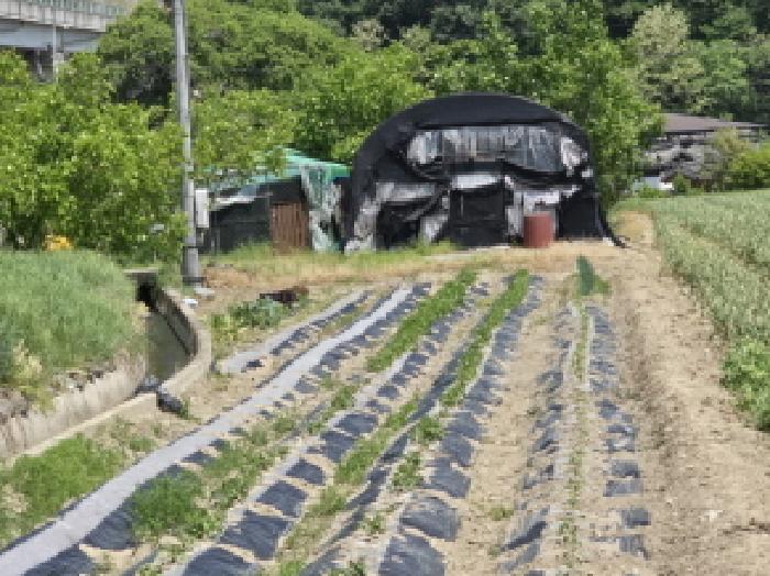 물건 대표 사진
