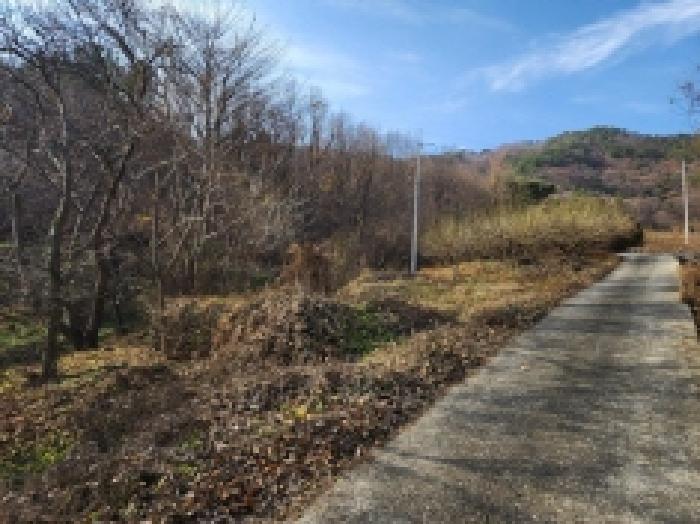 물건 대표 사진