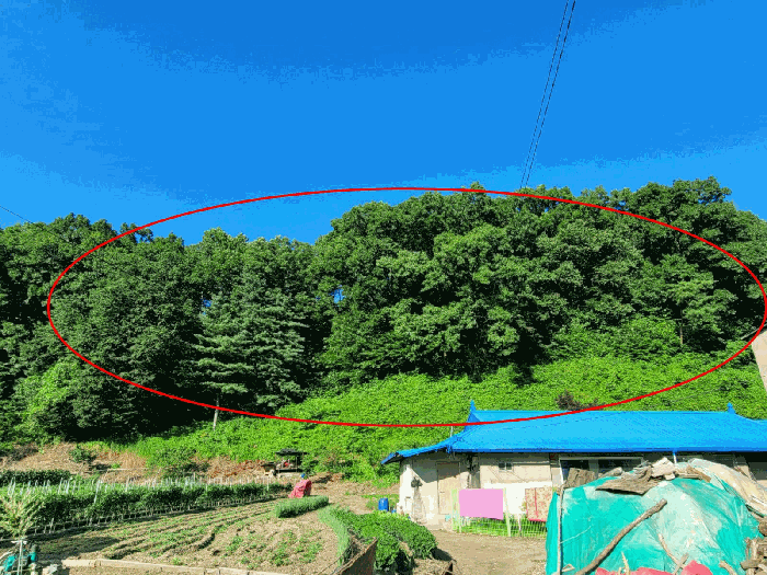 물건 대표 사진