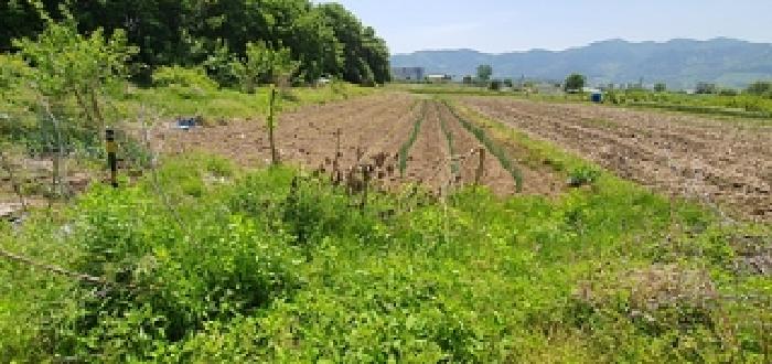 물건 대표 사진