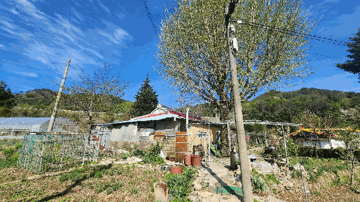 물건 대표 사진