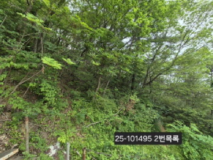 물건 대표 사진