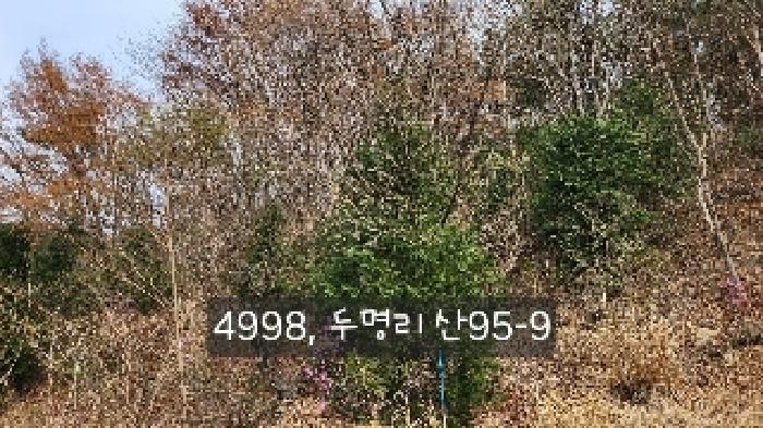 물건 대표 사진