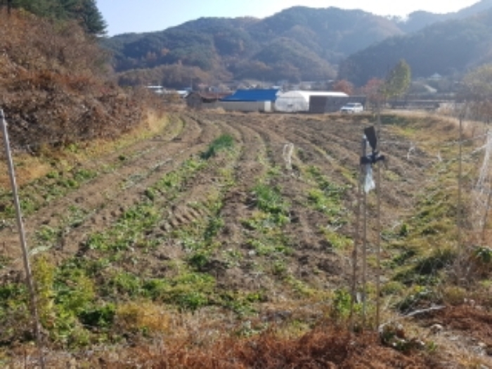 물건 대표 사진