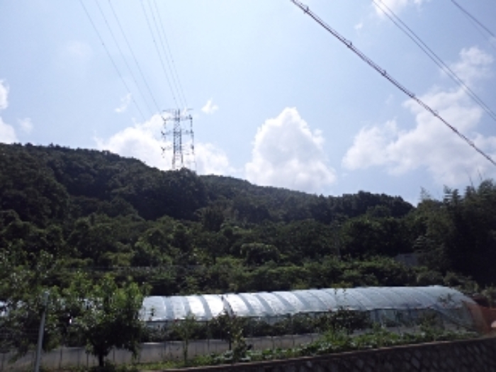 물건 대표 사진