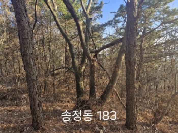 물건 대표 사진