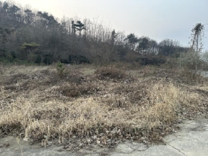 물건 대표 사진