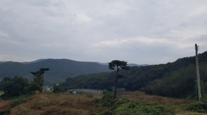 물건 대표 사진