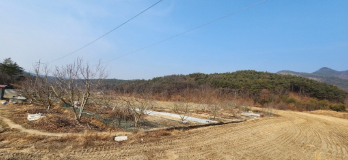 물건 대표 사진