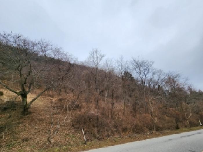 물건 대표 사진