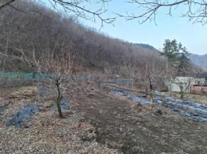 물건 대표 사진