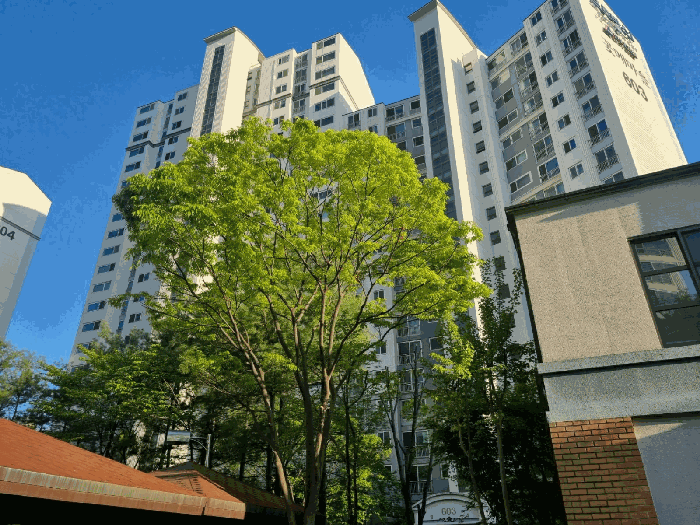 물건 대표 사진
