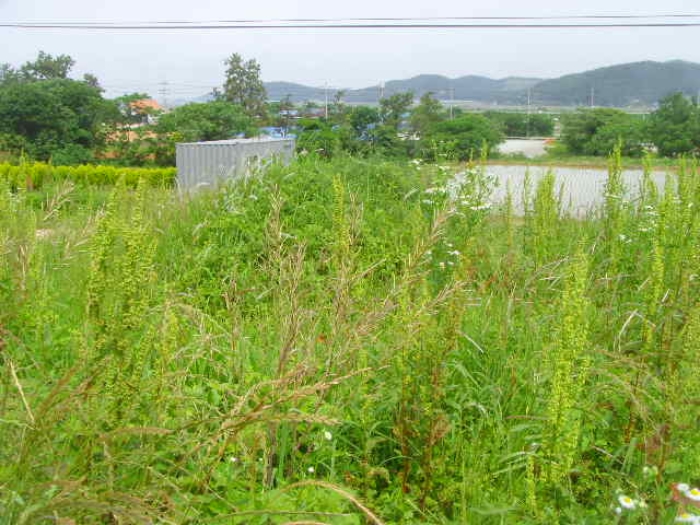 물건 대표 사진