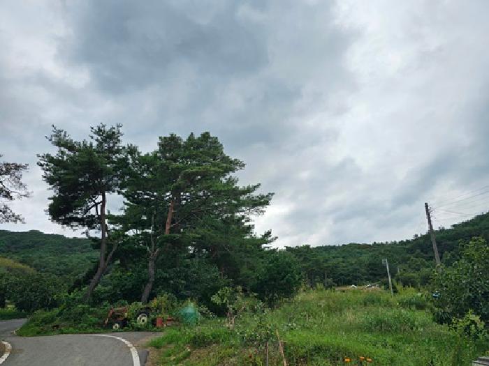 물건 대표 사진