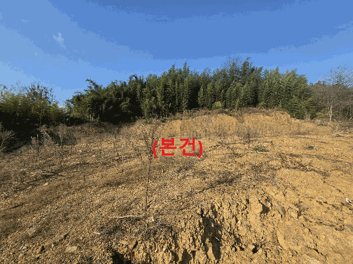 물건 대표 사진