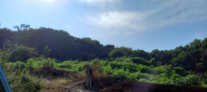 물건 대표 사진
