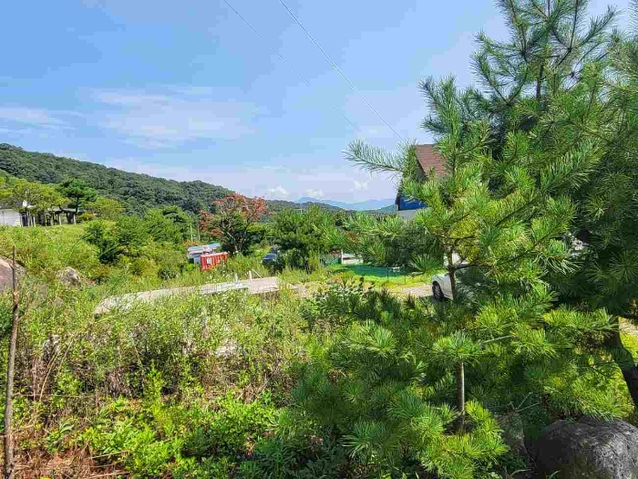 물건 대표 사진