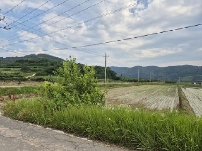 물건 대표 사진