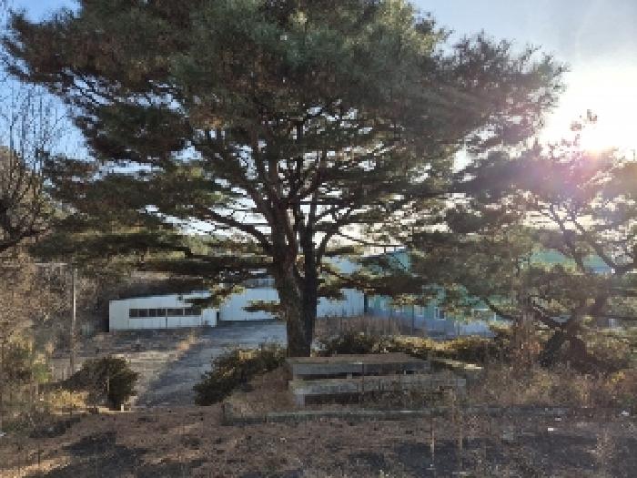 물건 대표 사진