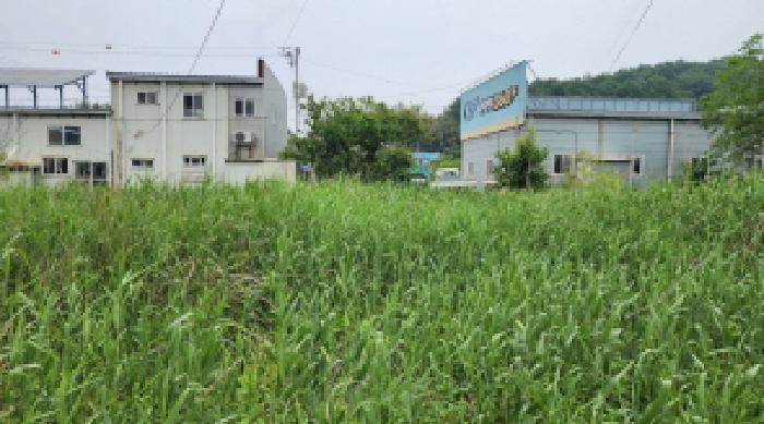 물건 대표 사진
