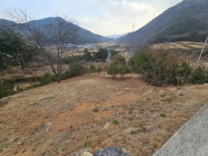 물건 대표 사진