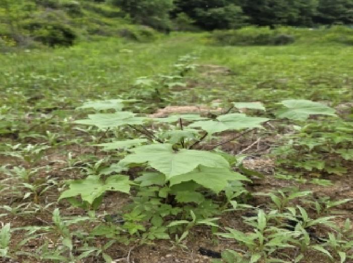 물건 대표 사진