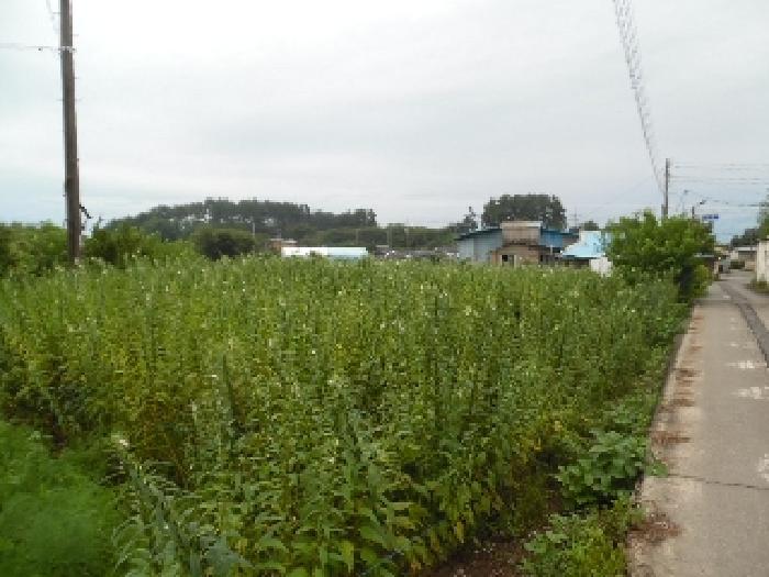 물건 대표 사진