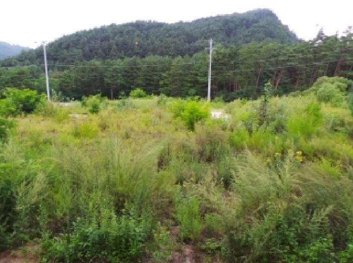 물건 대표 사진