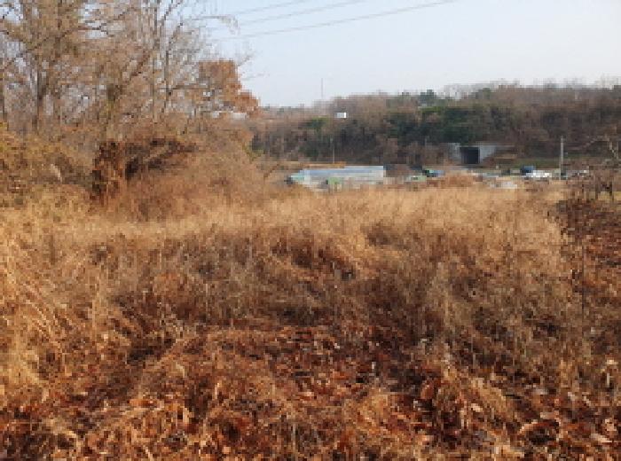 물건 대표 사진