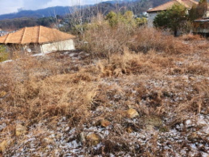 물건 대표 사진