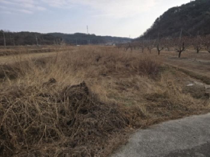 물건 대표 사진