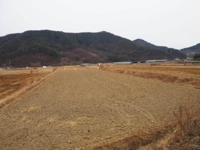 물건 대표 사진