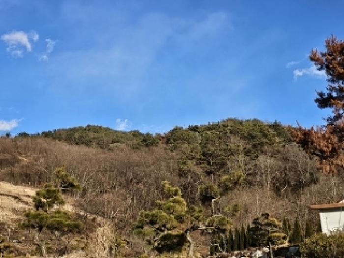 물건 대표 사진