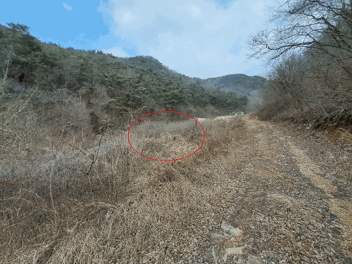 물건 대표 사진