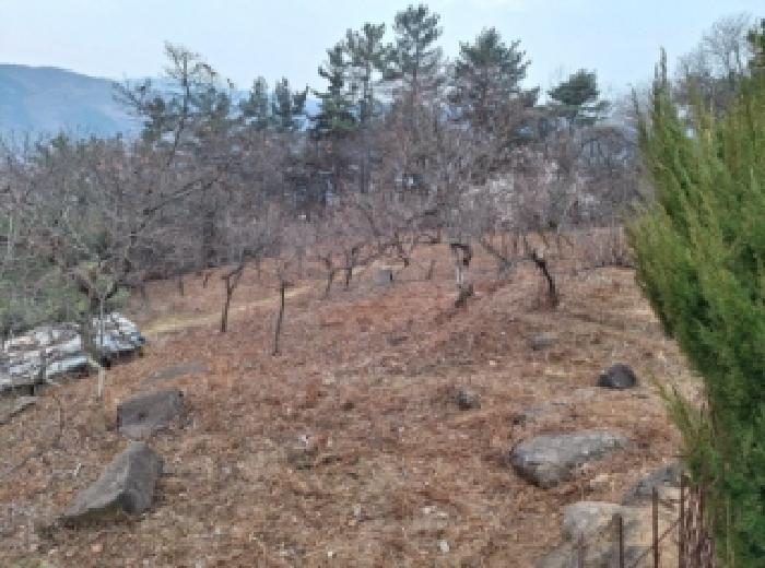 물건 대표 사진