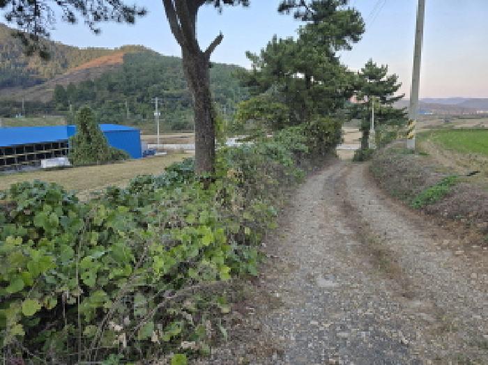 물건 대표 사진