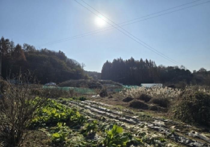 물건 대표 사진