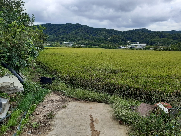 물건 대표 사진