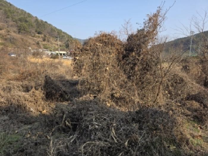 물건 대표 사진