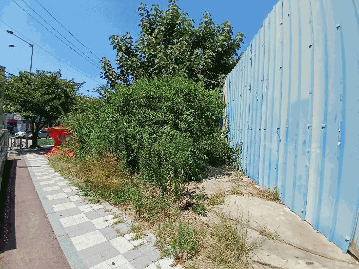 물건 대표 사진